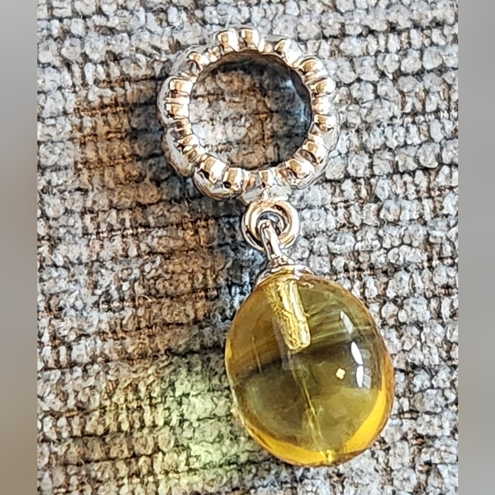 Endless Jewelry Sterling Silver November Success Charm - Picture 3 of 4